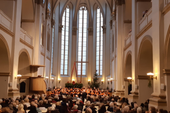 Rybovka u Salvátora